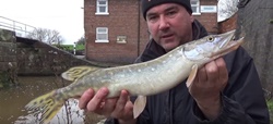Pike Fishing In Cheshire England