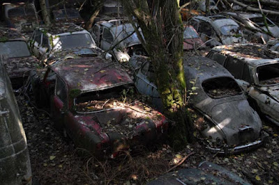 carros antigos abandonados em fazendas