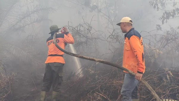 Libur Lebaran, 50 Hektare Lahan di Kota Dumai Terbakar