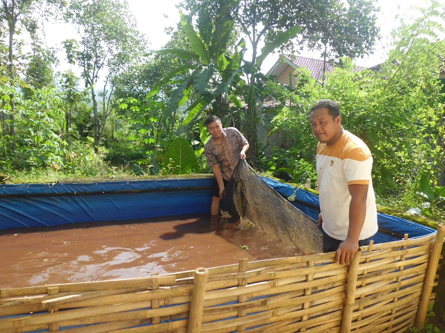 Jaring Lele, Nyerok Lele, Lele Sangkuriang, Foto Kegiatan