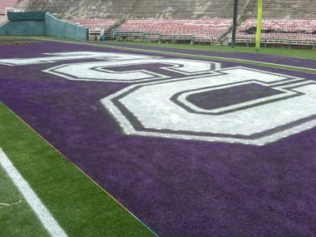 2011 Rose Bowl, TCU vs.