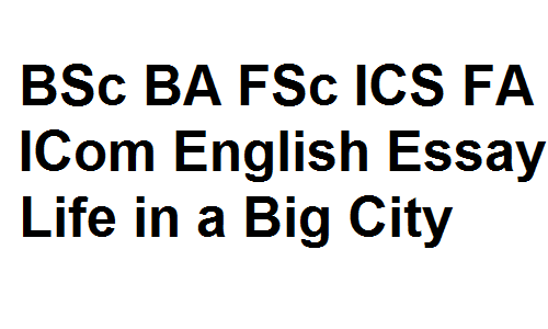 BSc BA FSc ICS FA ICom English Essay Life in a Big City