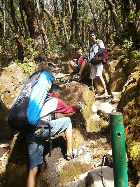 gunung_gede_pangrango_basecamp_telaga_biru_kandang_badak_tanjakan_setan_puncak_air_panas_cibodas