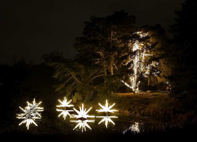 Christmas Garden Berlin 2018