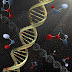 Biomoléculas - Ácidos Nucleicos 