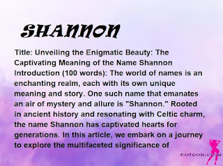 meaning of the name "SHANNON"