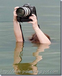 underwater-underwater cameras-underwater camera-underwater photos-underwater pictures-blue-palm.blogspot.com