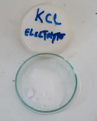 Potassium Chloride SDS