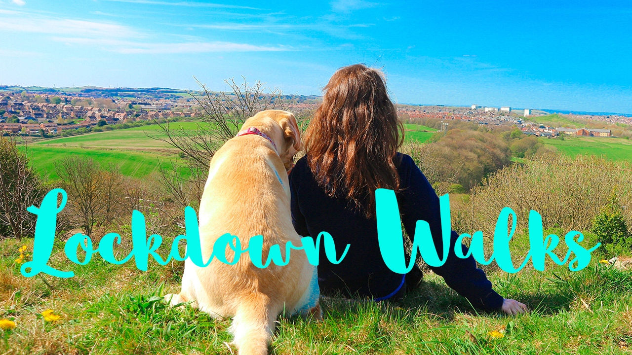 Lockdown Dog Walks Vlog Series