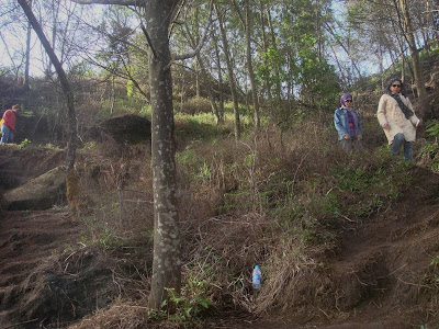 Pesona wisata Dataran tinggi Dieng