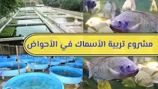 مشروع تربية الأسماك، مشروع تربية الأسماك في الاحواض، تربية الأسماك، دراسة جدوى مشروع تربية الأسماك، مشروع الزراعة السمكية، مشروع الاستزراع السمكي، تربية الاسماك في الأحواض الجاهزة، كيفية إنشاء مشروع تربية الأسماك، مستلزمات مشروع تربية الأسماك، متطلبات مشروع تربية الأسماك في الأحواض، تكاليف مشروع تربية الأسماك، تكلفة مشروع تربية الأسماك، مميزات مشروع تربية الأسماك، الزراعة  السمكية، سلبيات مشروع تربية الأسماك، تربية الأسماك في المغرب و مصر و تونس و الجزائر و السعودية و الإمارات و قطر و الكويت و العراق و الأردن و سلطنة عمان...،