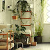 Plant Furnishing House Escape