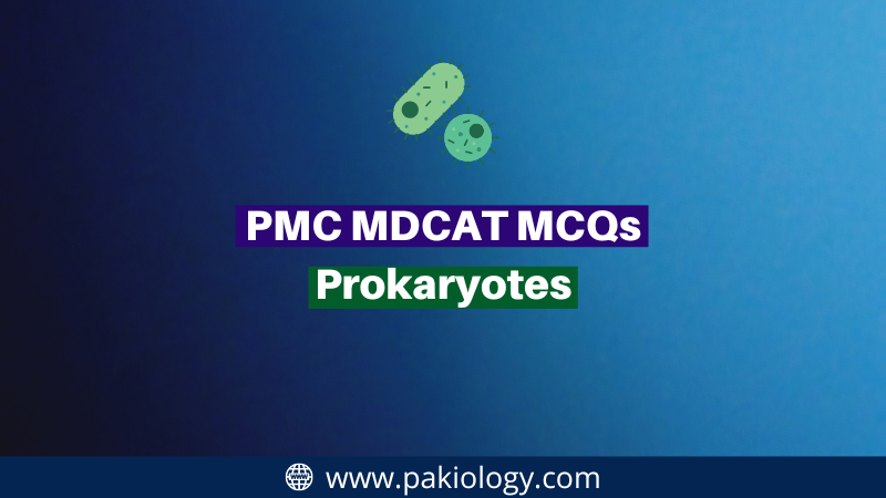 MCQs on Prokaryotes