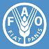 Monitoring and Evaluation Specialist at FAO