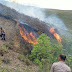 Polsek Palipi Bantu Padamkan Kebakaran Lahan di Perbukitan Simargulang Ombun