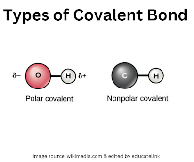 Polar and Non-Polar Covalent Bonds