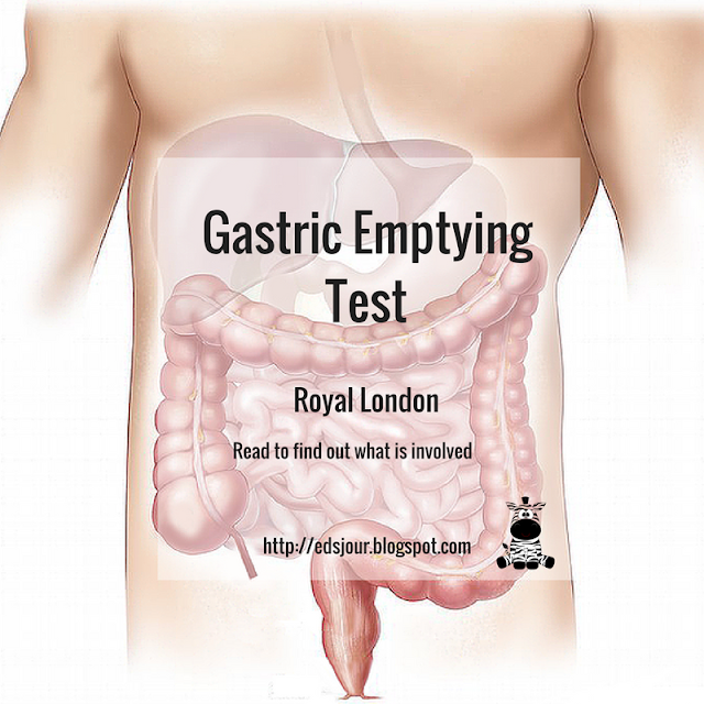 Gastrointestinal diagram