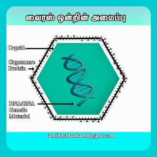 Virus Tamil