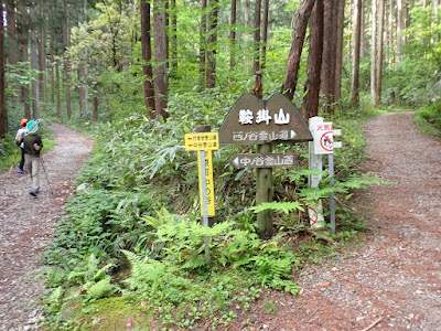 鞍掛山 岐路