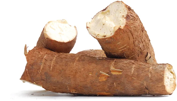 Ways to Get Pregnant With Twins Naturally - cassava