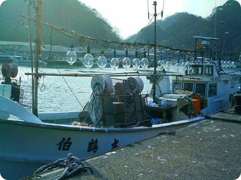 IMAG0593