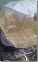 Pep Delta Fiberglass 1