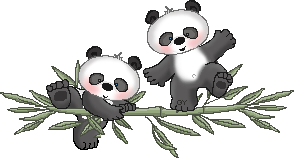 Gif panda