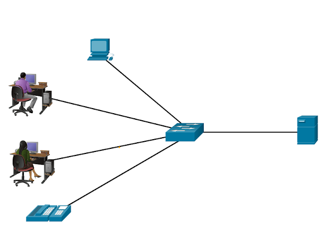 A network serving a home, small building, or a small campus is considered a LAN.