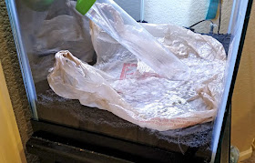plastic bag used to protect sand substrate during water changes