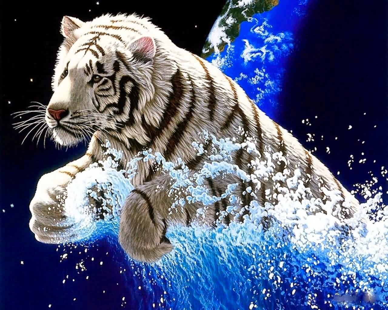 Gambar Harimau Putih  Yang  Sangar Gambarnya Gambar