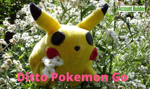 Ditto Pokemon Go