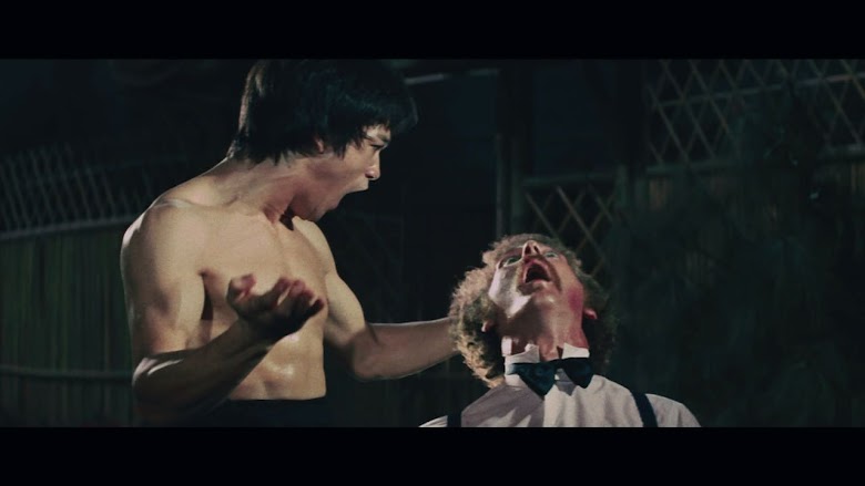 Fist of Fear, Touch of Death (1980)