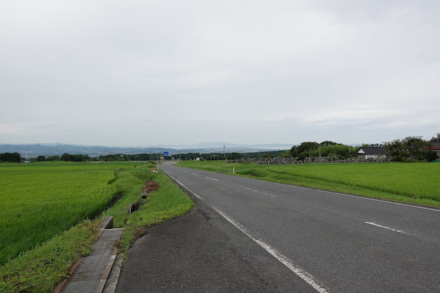 県道36号線名和岸本線