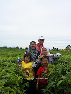 kebun teh siantar wisata sumut