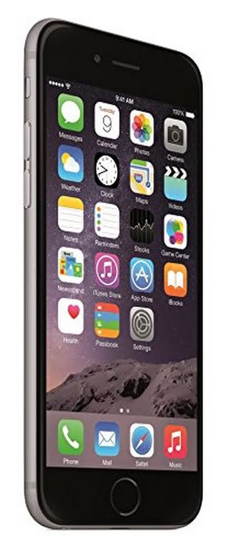 Apple iPhone 6 64GB Unlocked GSM 4G LTE Cell Phone - Space Gray