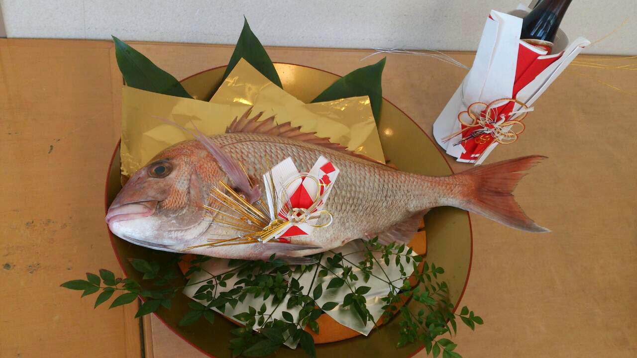 Dear Dulcinea 寿美酒 鯛の尾飾りと潮