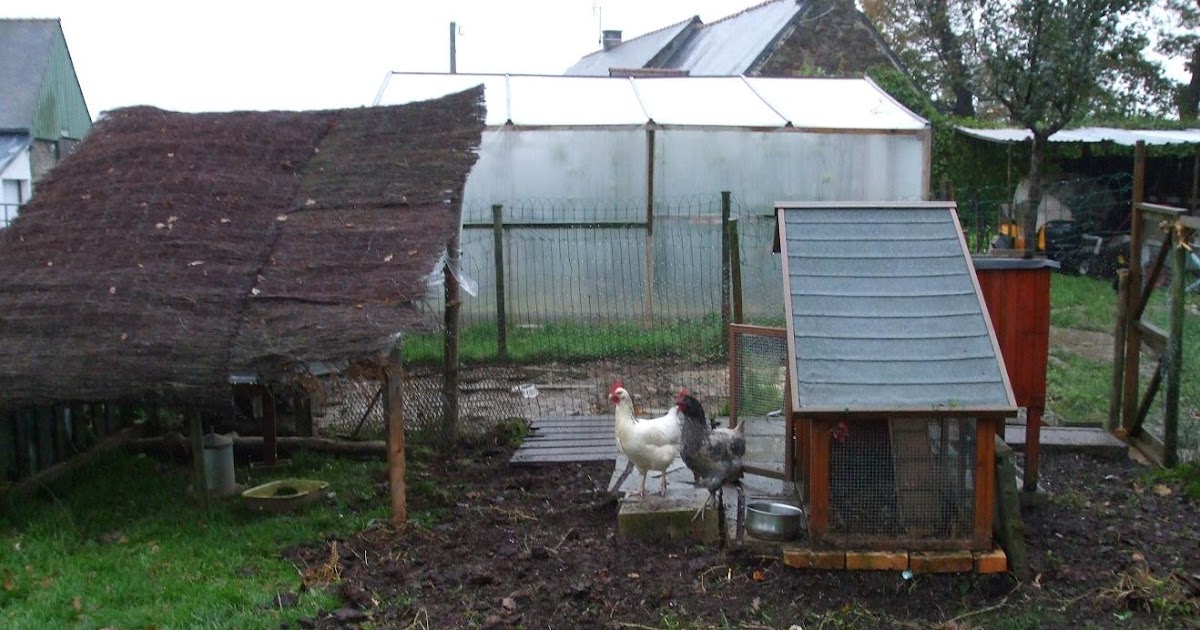 Mr Tomato King: Moving the Chicken Coop