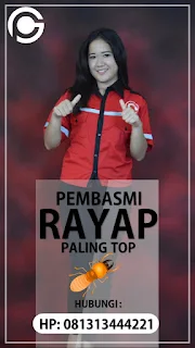 Garda Pest Control Jasa Pembasmi Tawon dan Lebah di Bandung