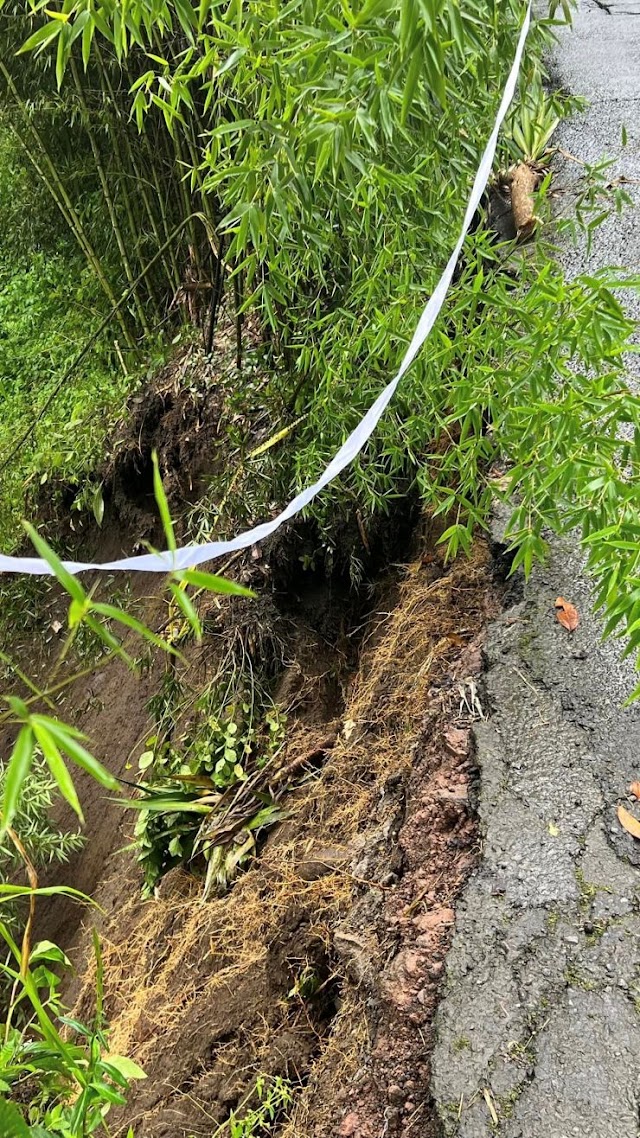 En Goicoechea: Reportan derrumbe en la Ruta Nacional 205 entre Jaboncillal de Mata de Plátano y Vista de Mar de Rancho Redondo 