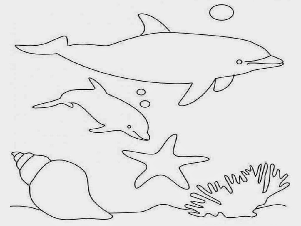 Dolphins Coloring Pages 4