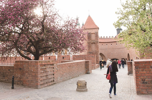 Мост в Stara Praha, Варшава