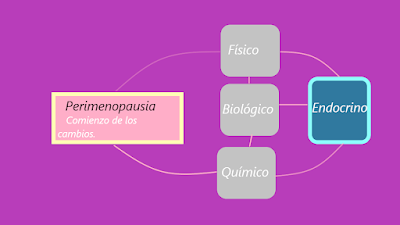 Qué es la perimenopausia