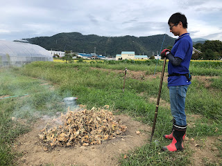 【20220917】キュウリの焼却処理