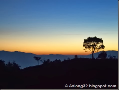 P1252244Asiong32