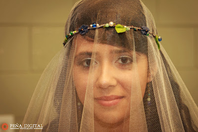 Wedding photograph of bride with veil.