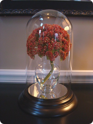 clock turned cloche
