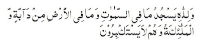 Quran, Surat 16:49 (An Nahl)