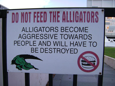 Do not feed the alligators sign