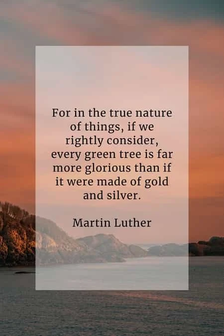 Nature quotes about its natural beauty and importance