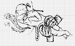 clip_image002[12]